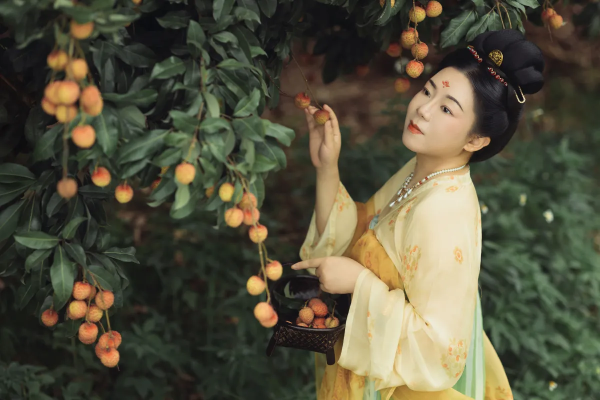 荔枝香5