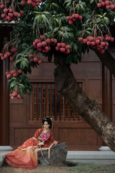 古寺荔枝