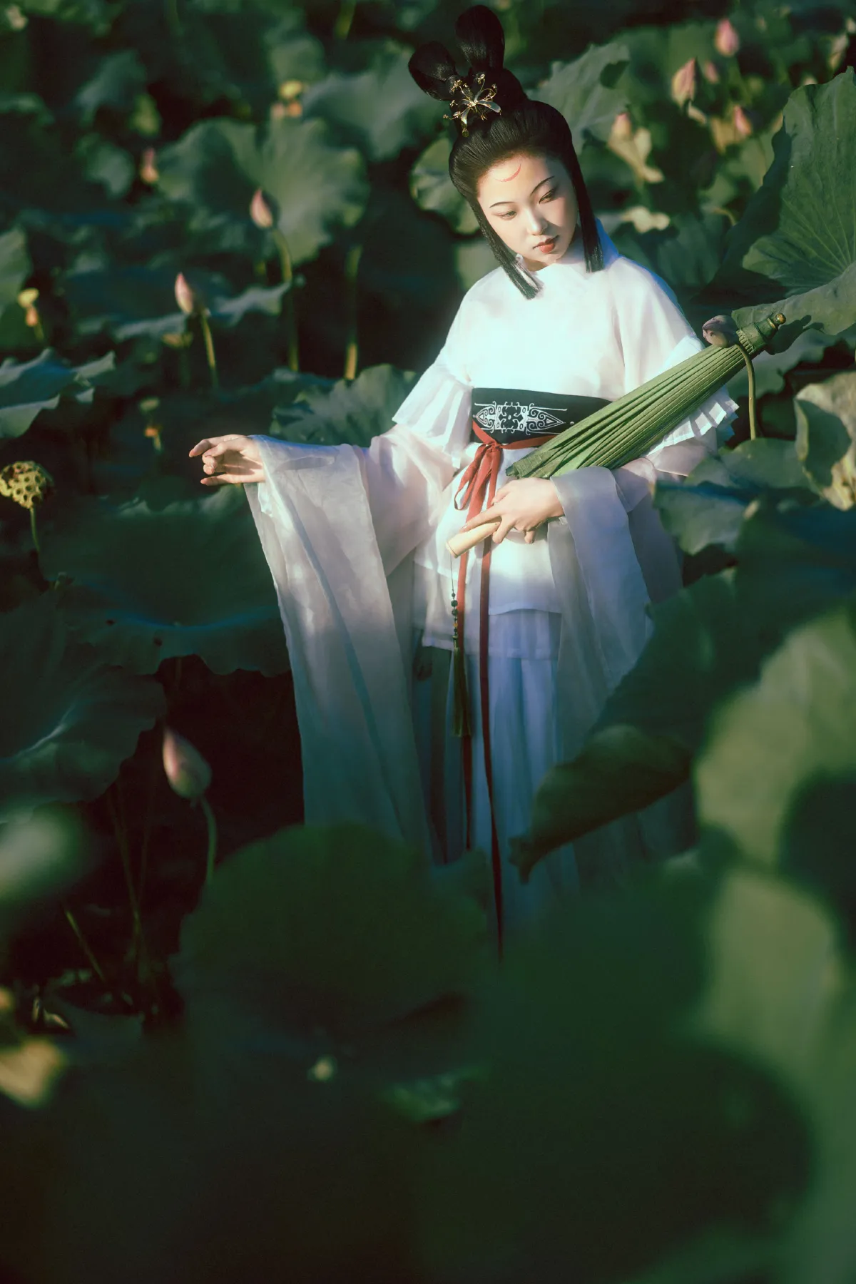 晚荷4