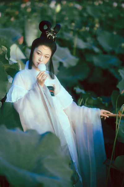 晚荷