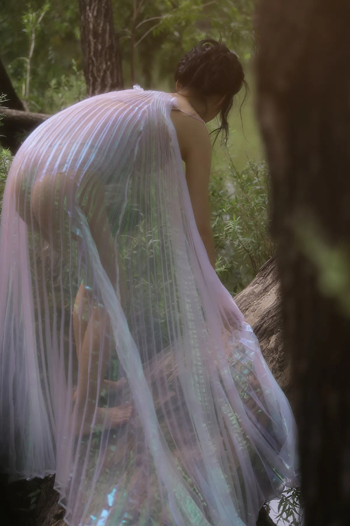 花仙子5