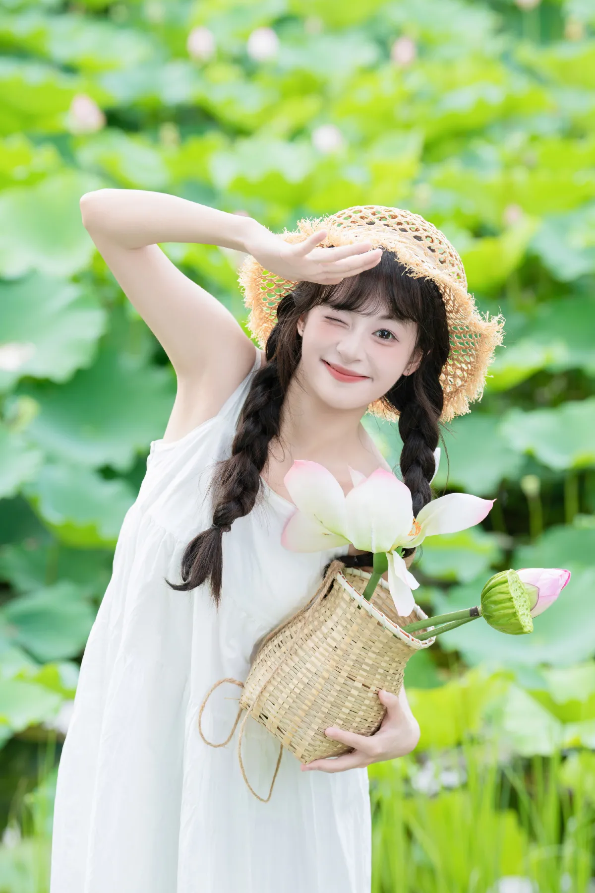 荷塘4