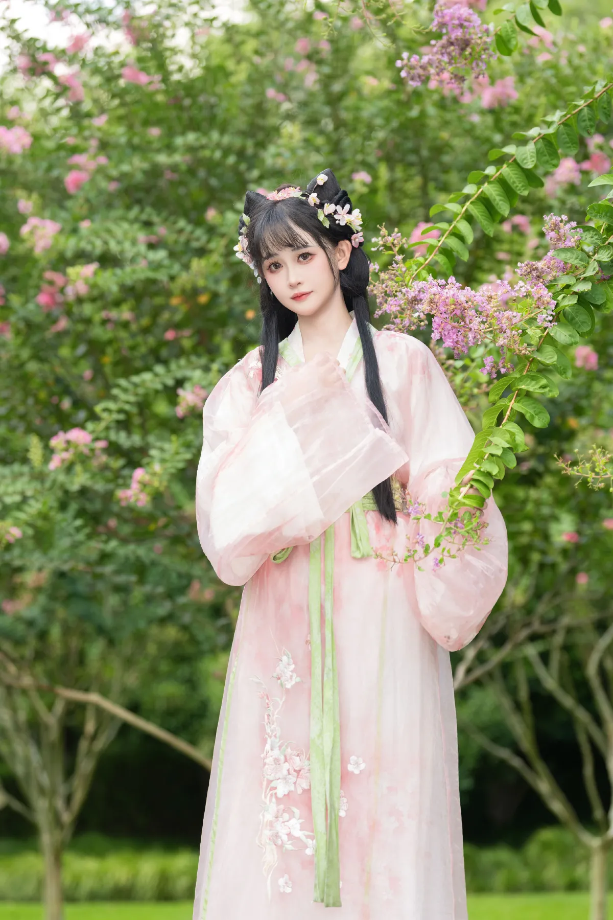 紫薇花开1