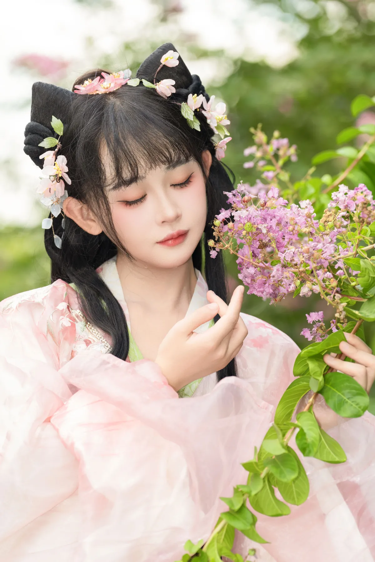 紫薇花开2