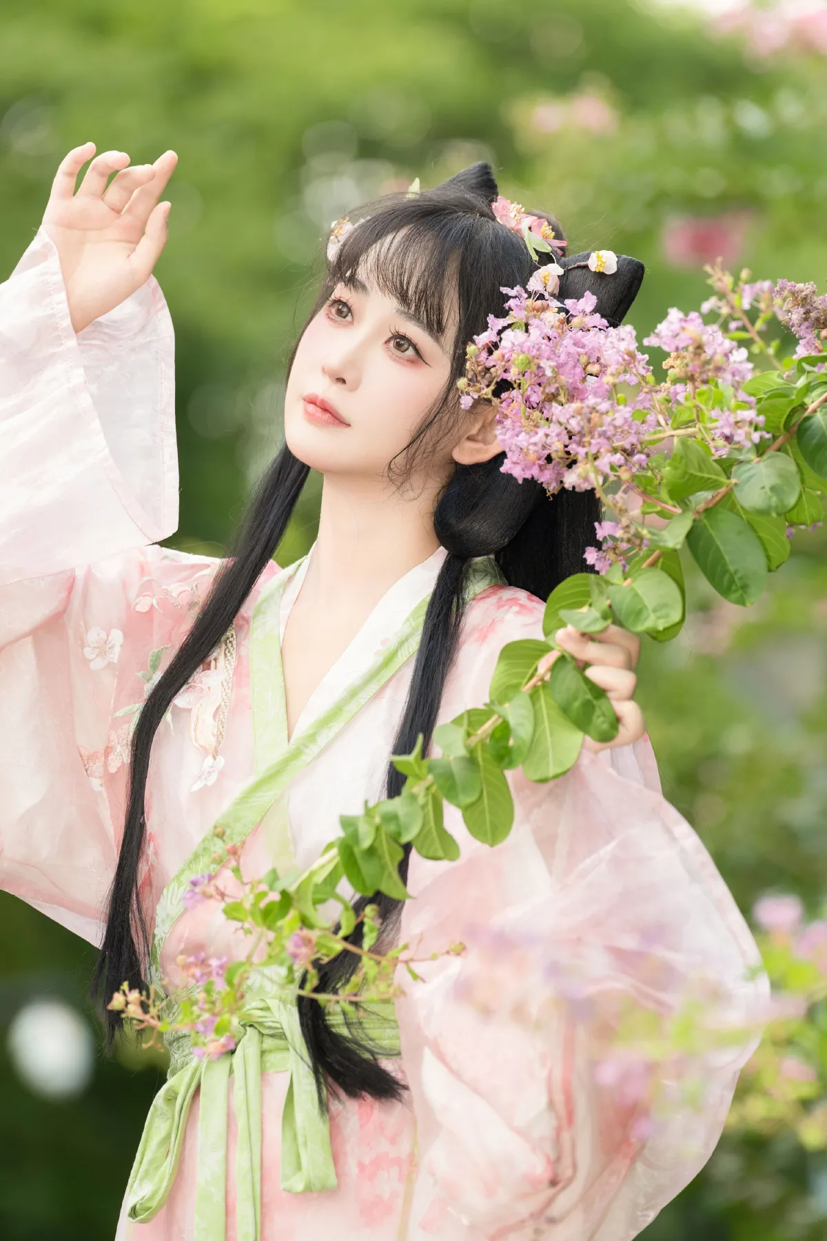 紫薇花开3