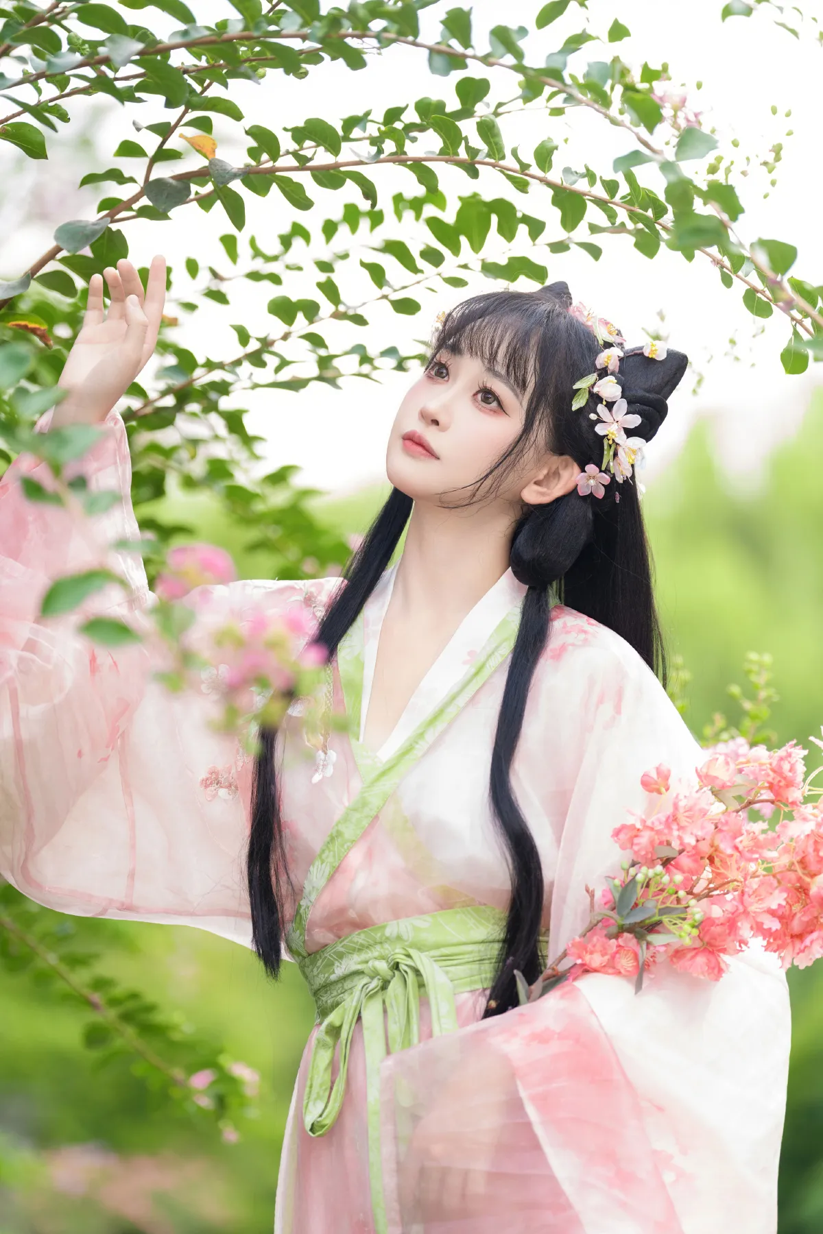 紫薇花开5
