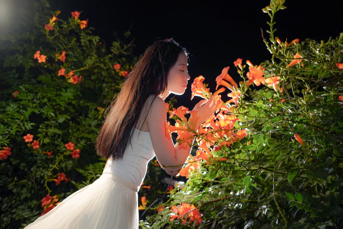梦里花3