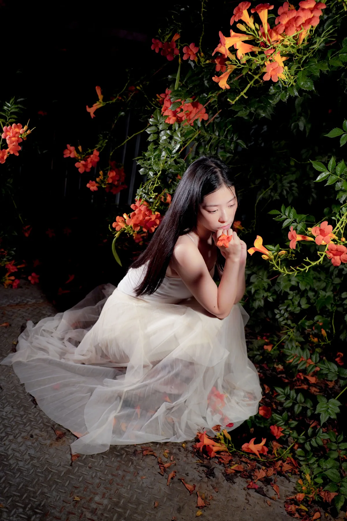 梦里花4