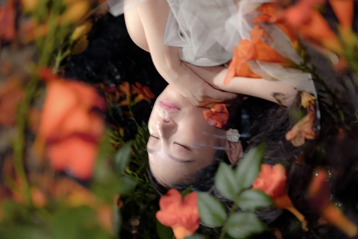 梦里花5