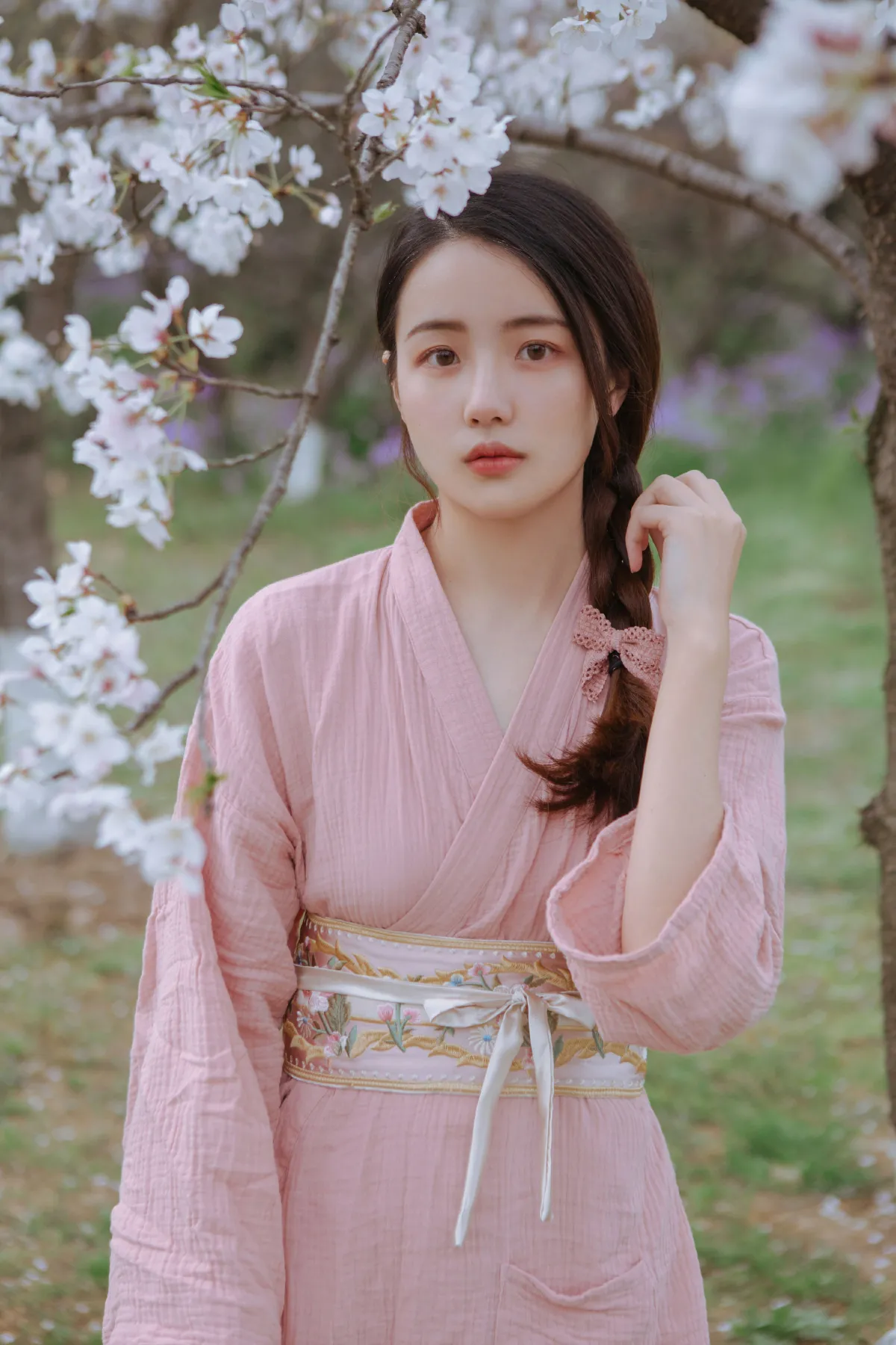 起风渐暖，樱花将灿2