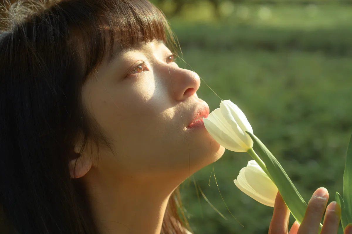 光与郁金香2