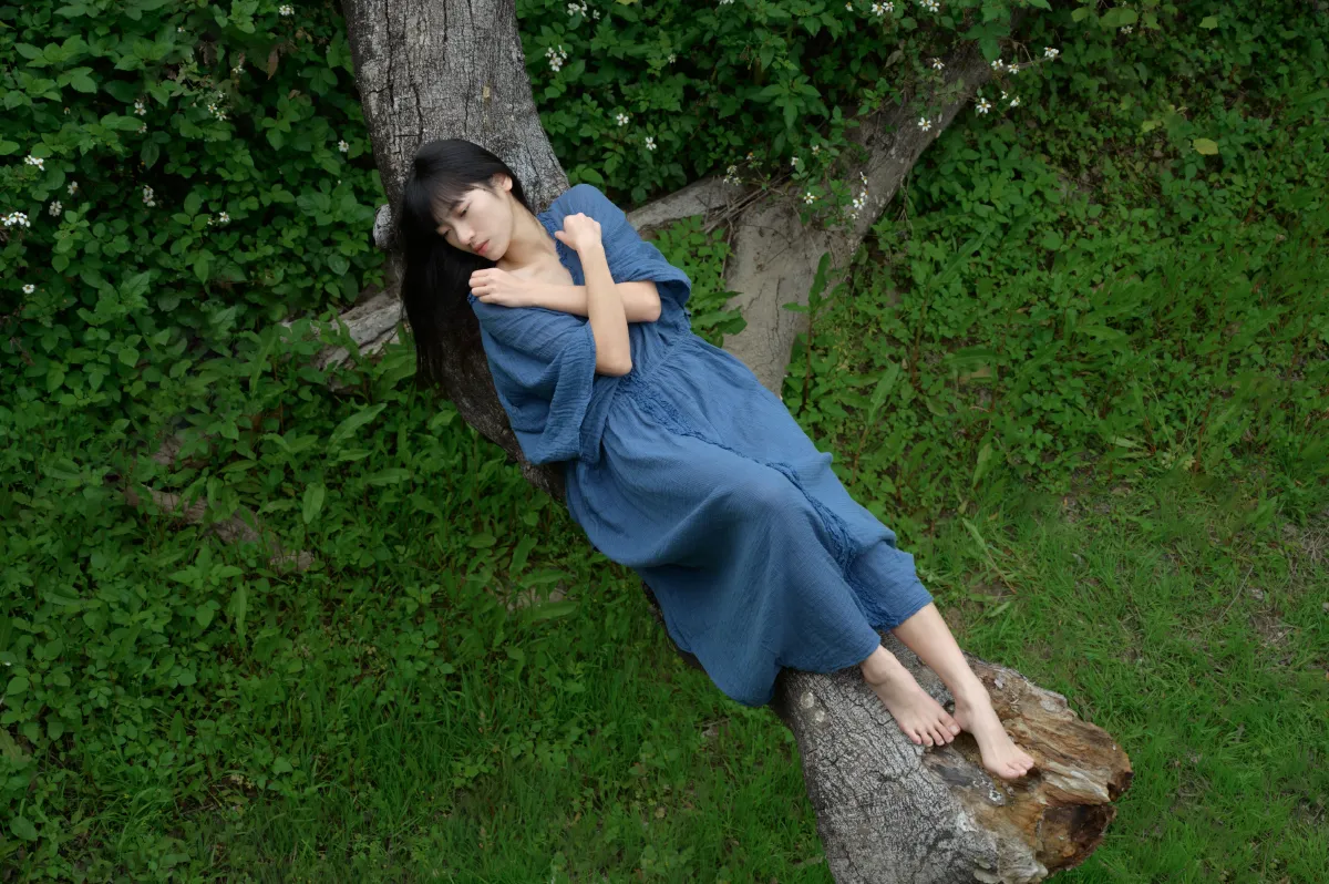 枯木逢春1