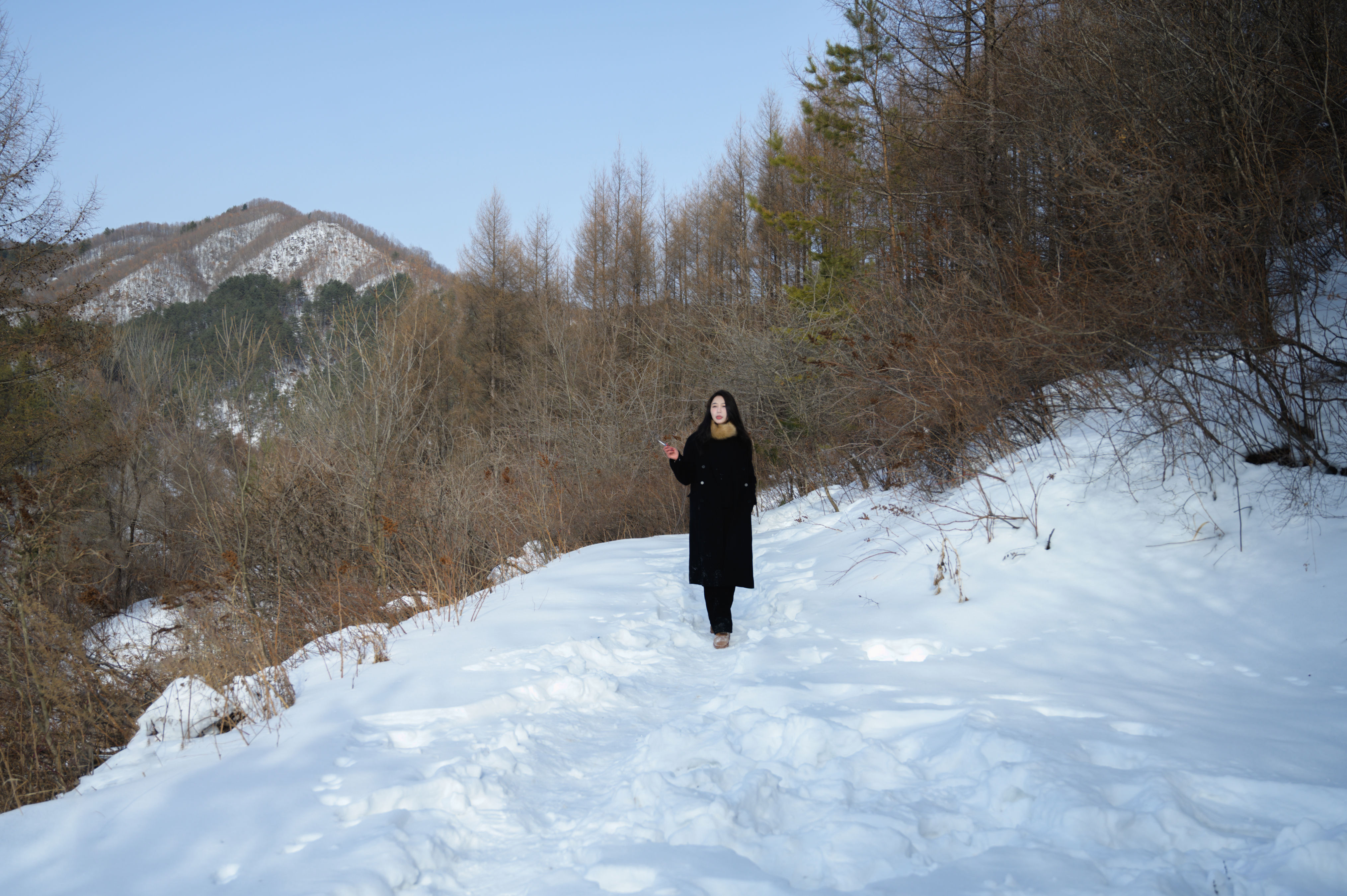 风与雪