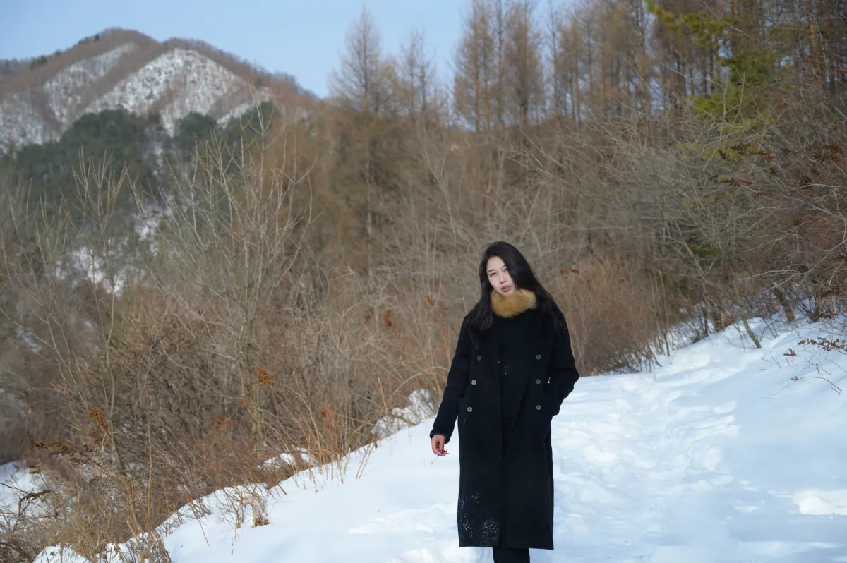 风与雪