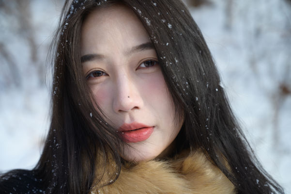风与雪