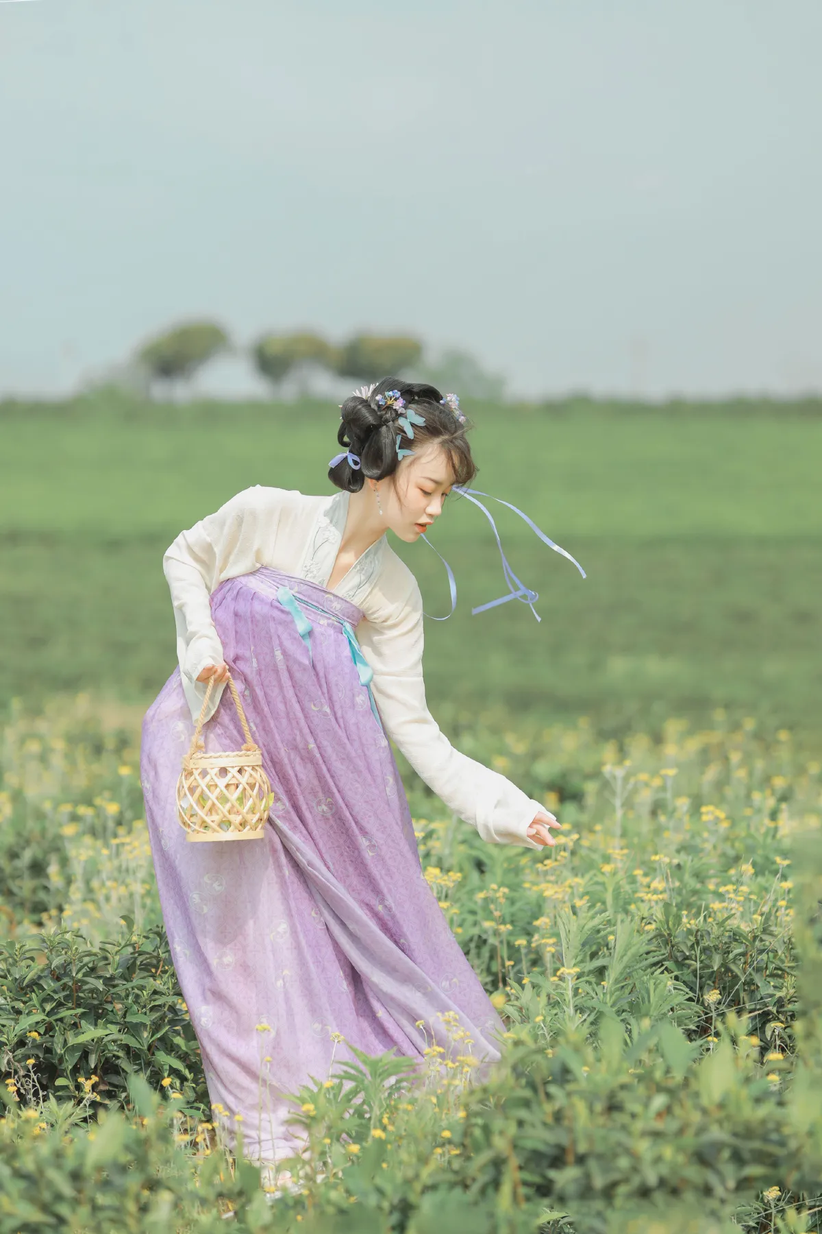 青青白茶