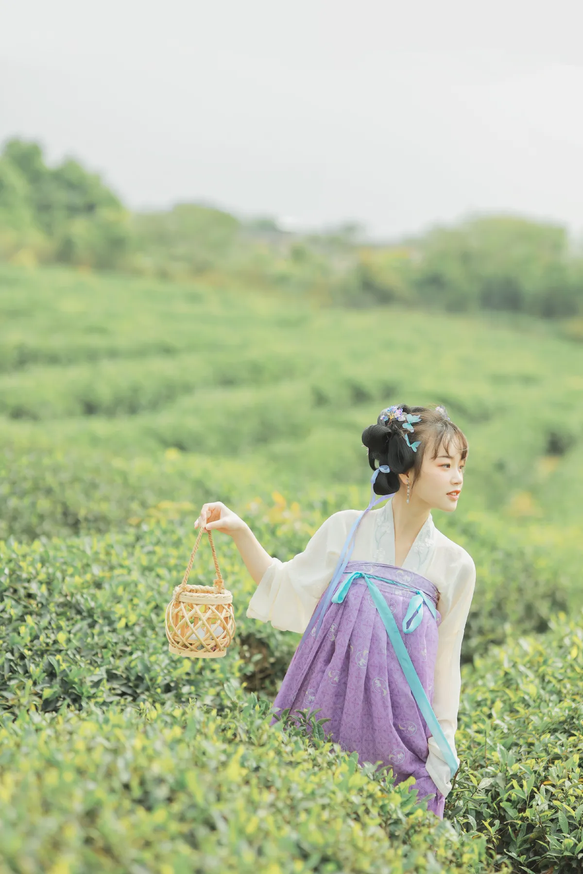 青青白茶2