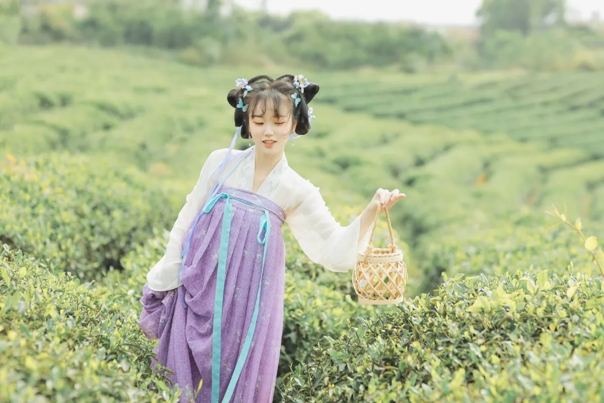青青白茶3