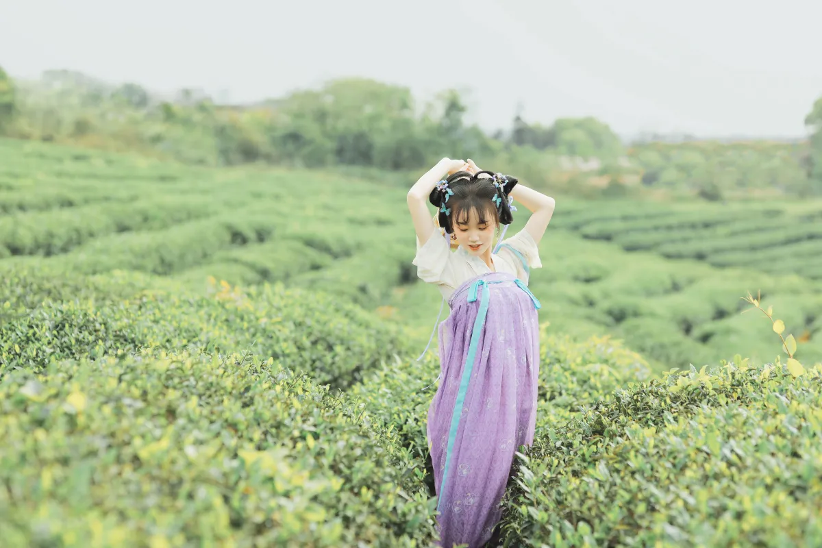 青青白茶