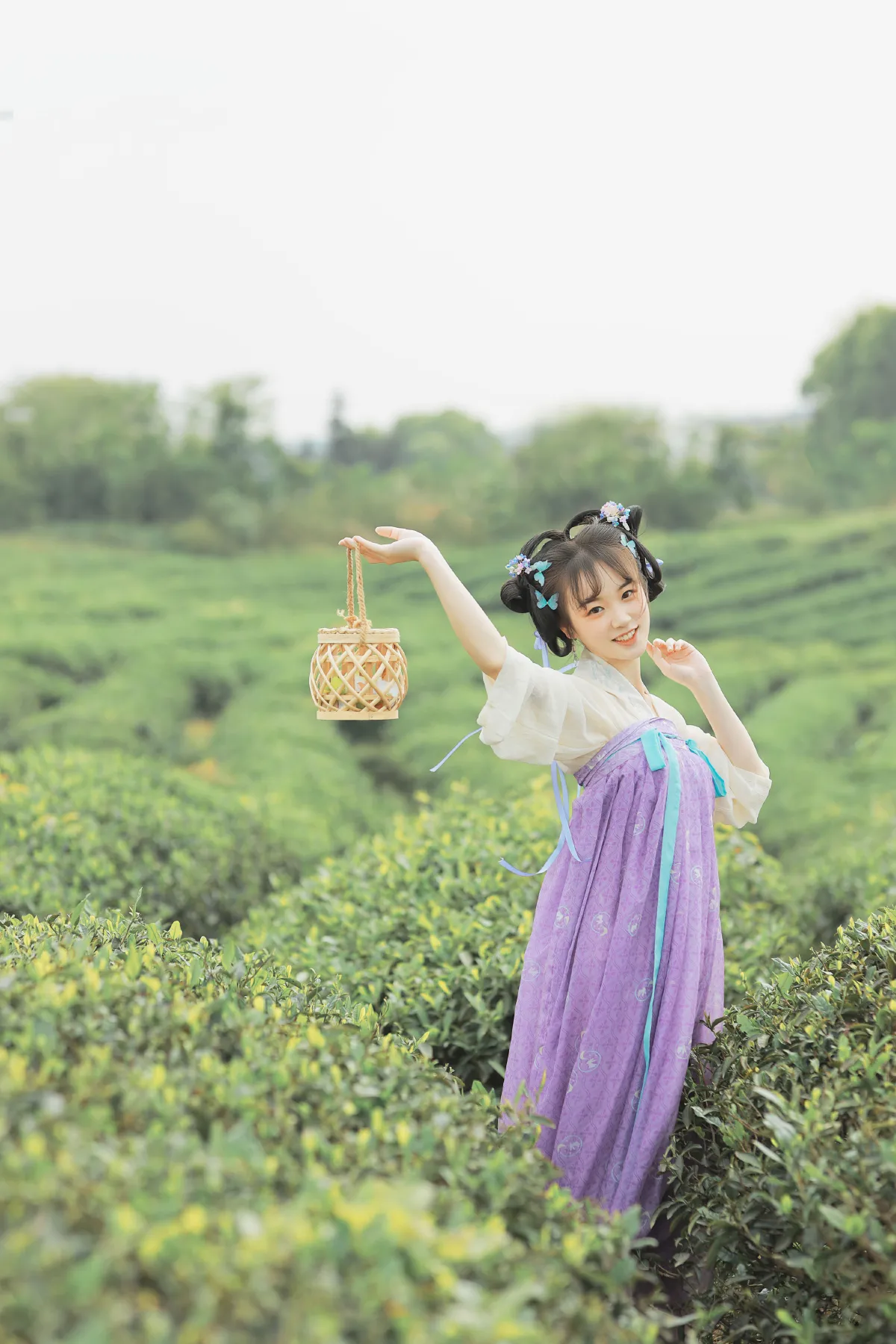 青青白茶