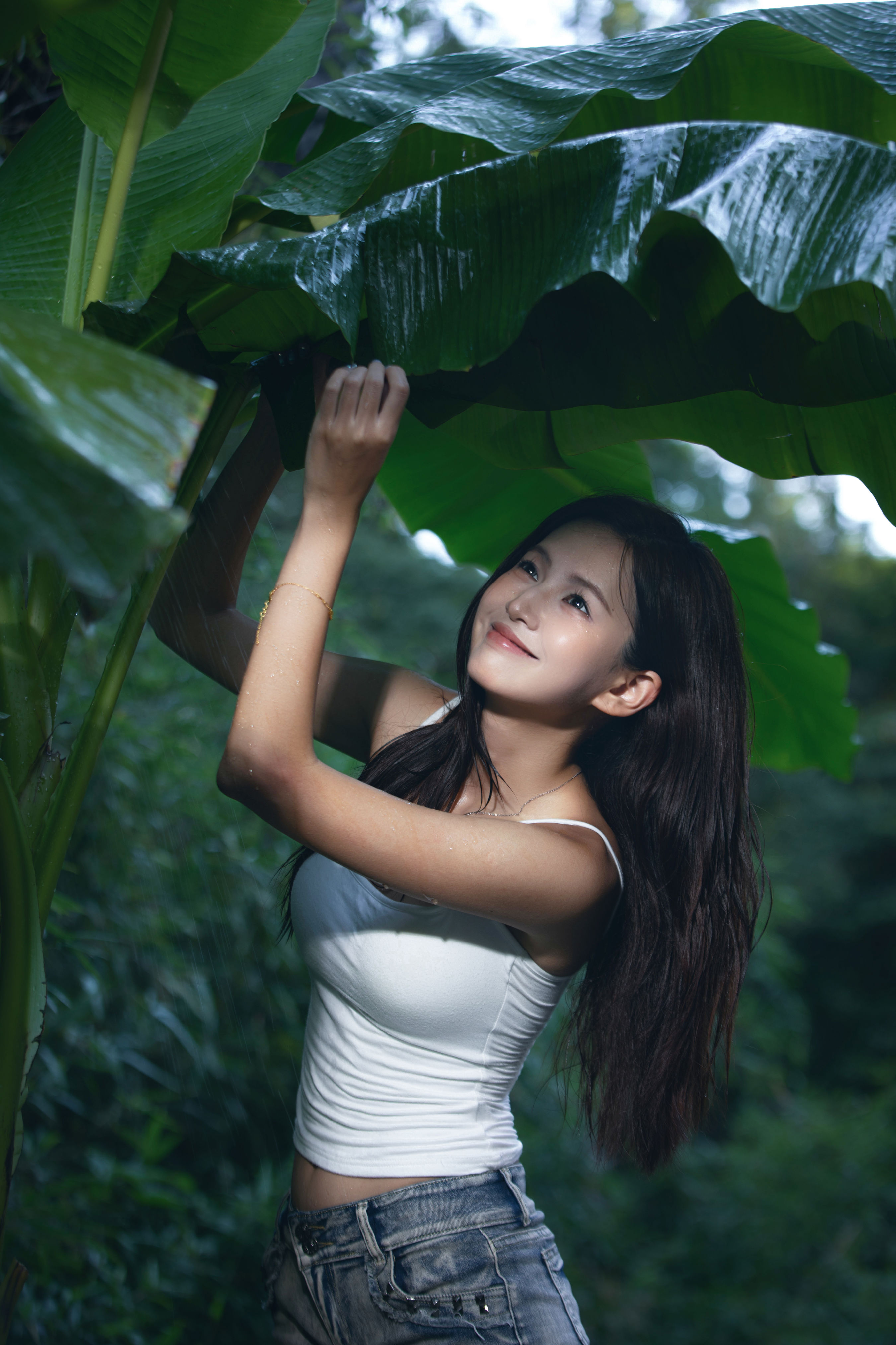 雨打芭蕉1