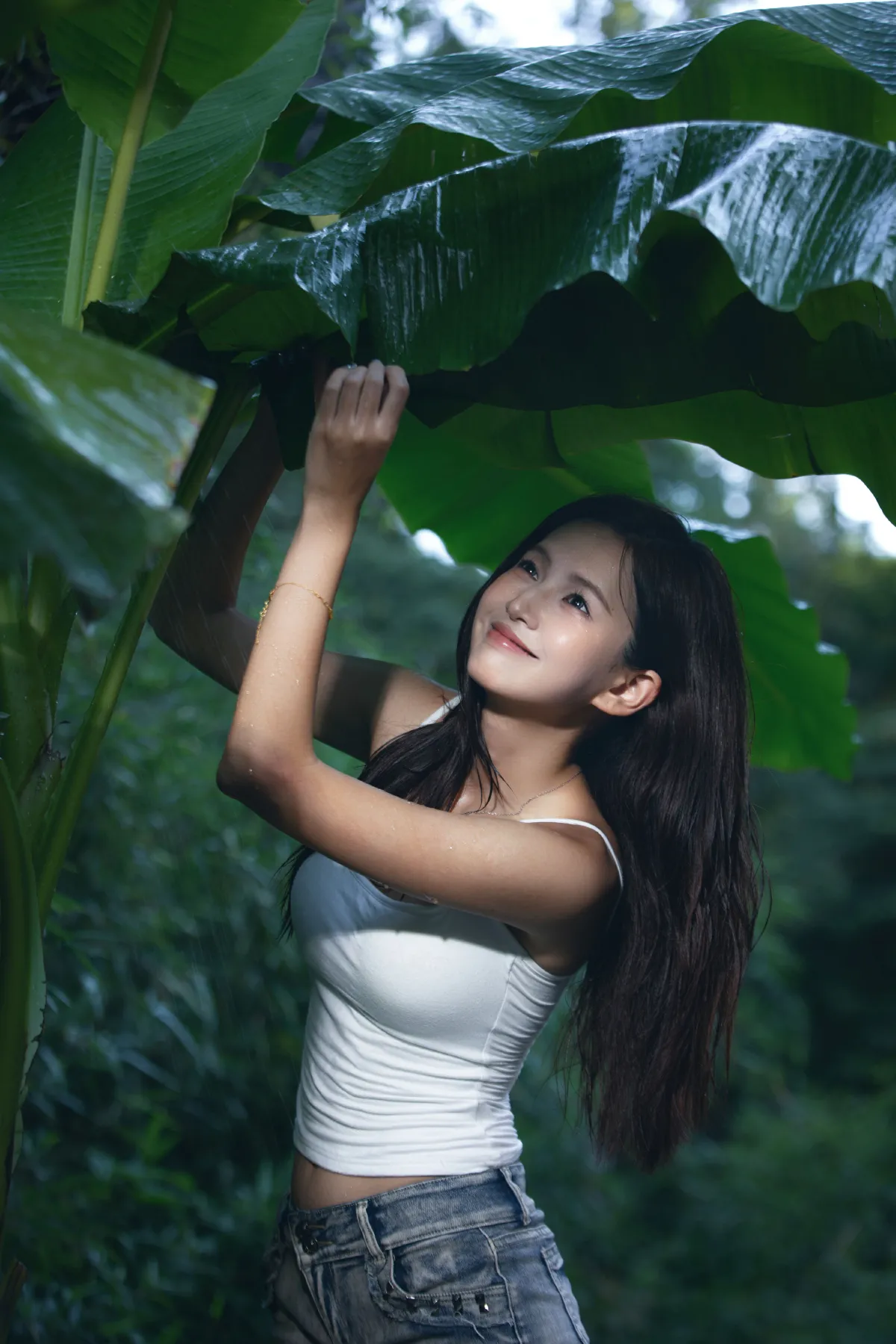 雨打芭蕉1