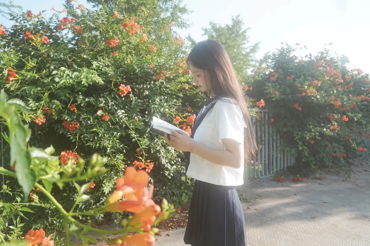 凌霄花开2