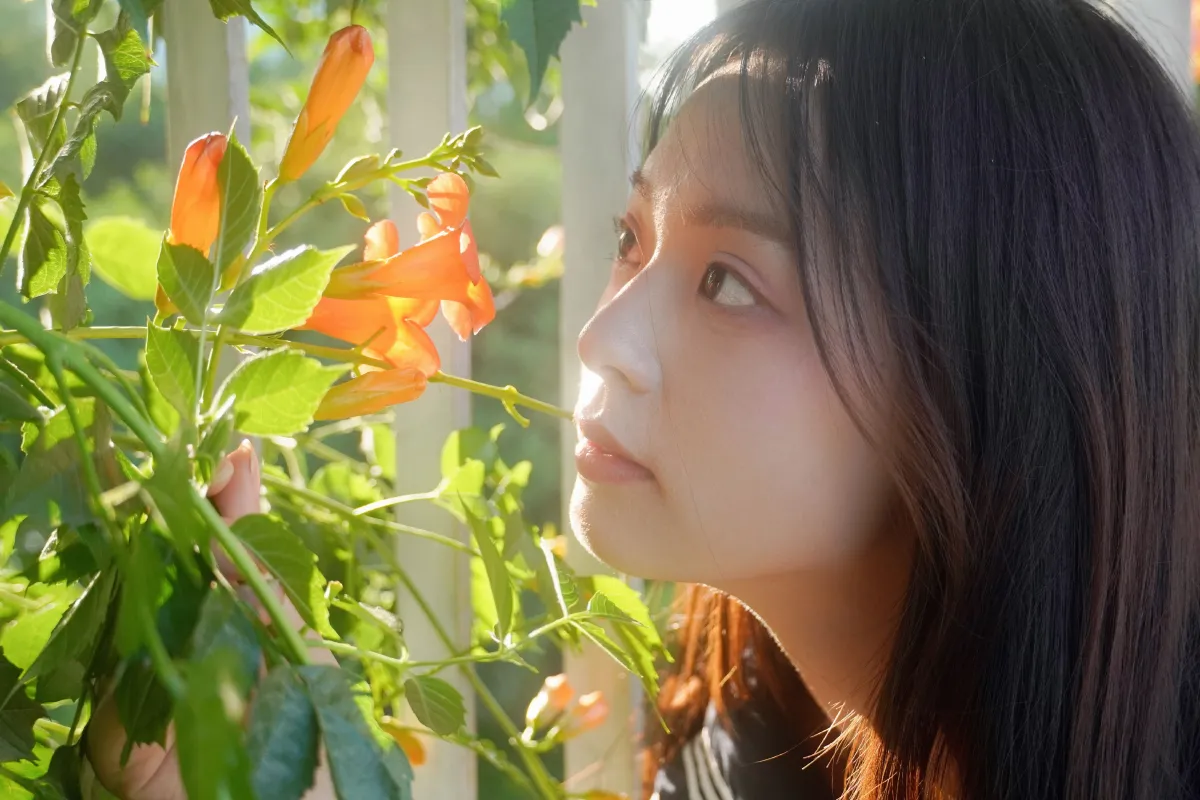 凌霄花开5