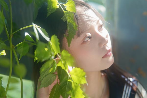 凌霄花开