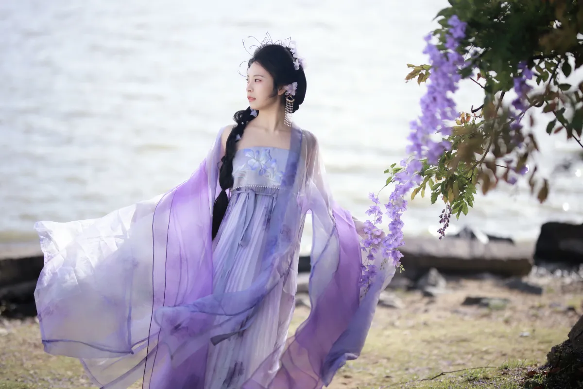 紫藤花开1