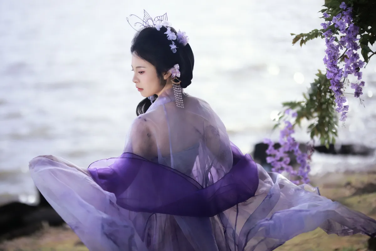 紫藤花开3