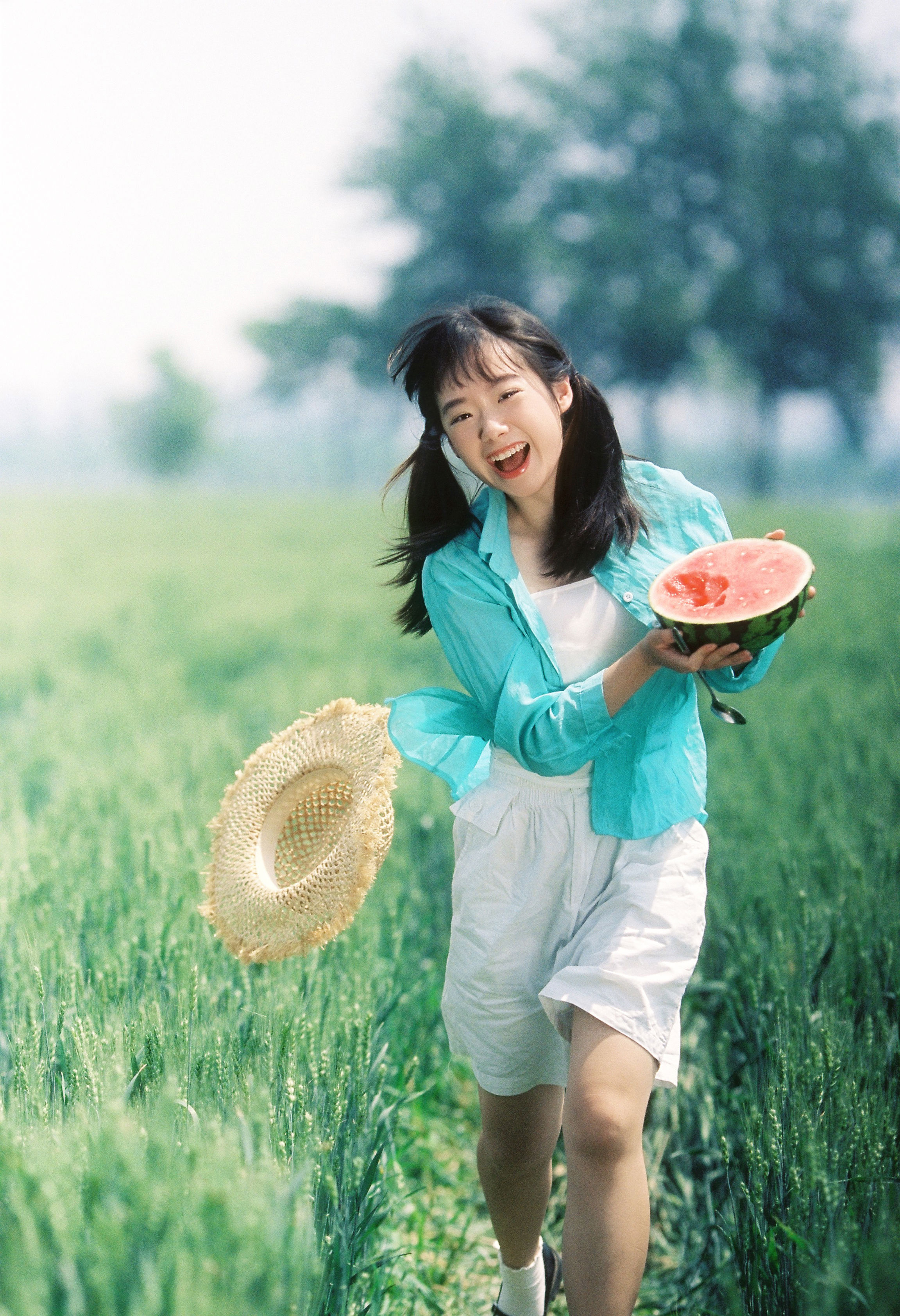 夏日稻田1