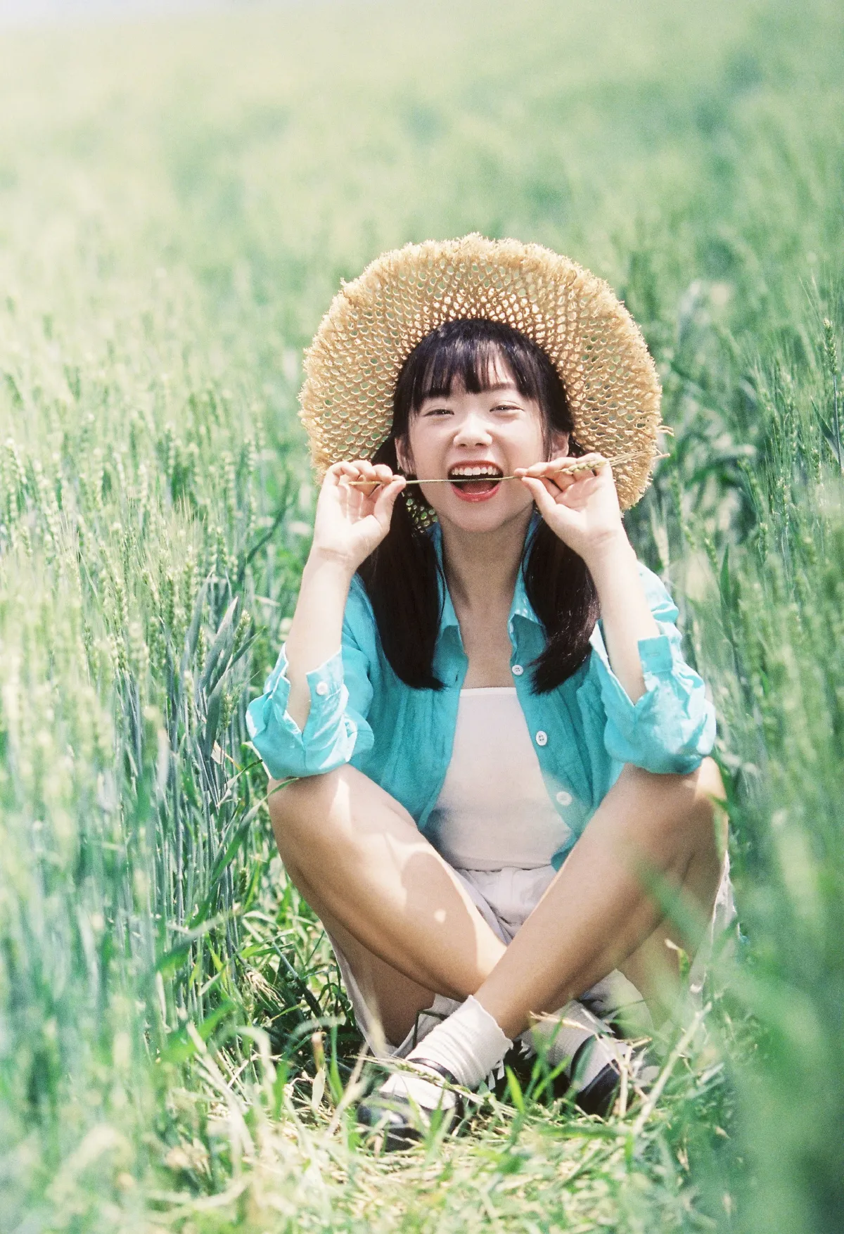 夏日稻田3