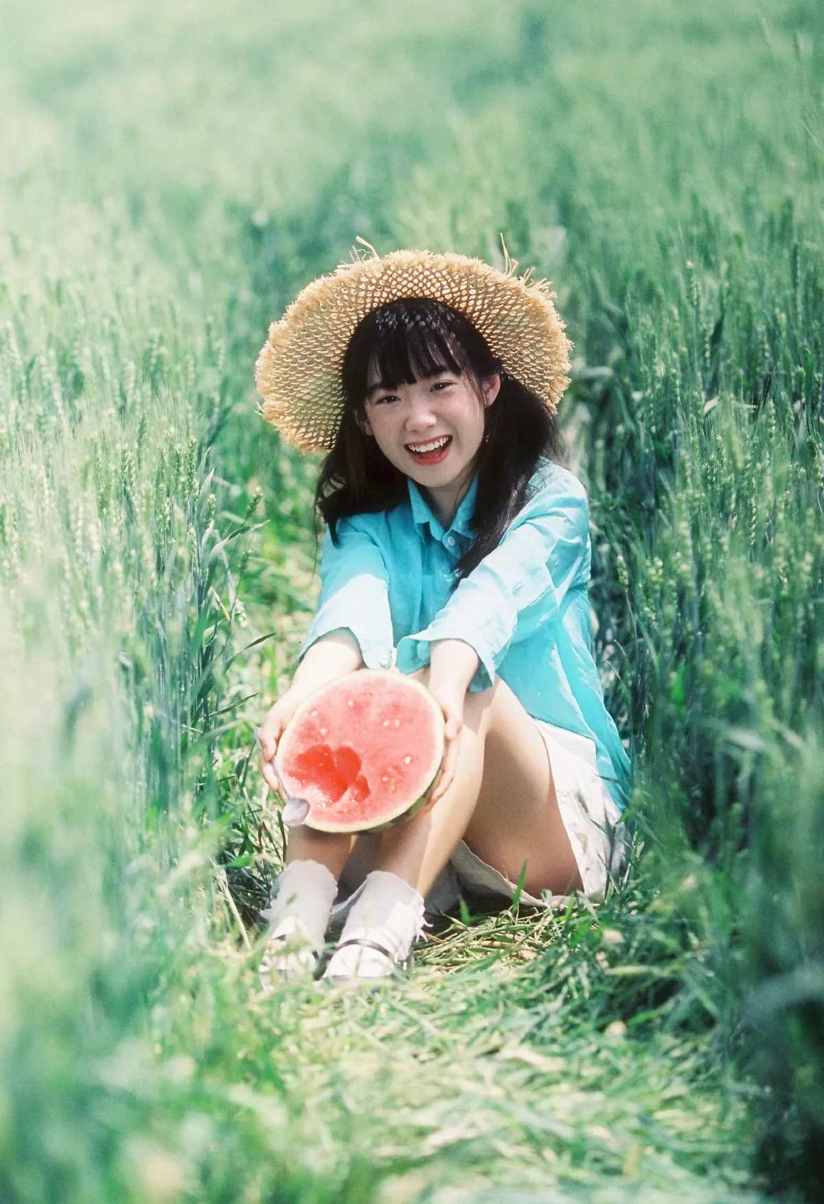 夏日稻田5