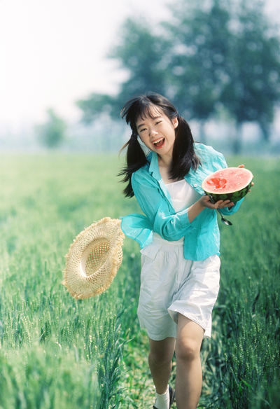 夏日稻田