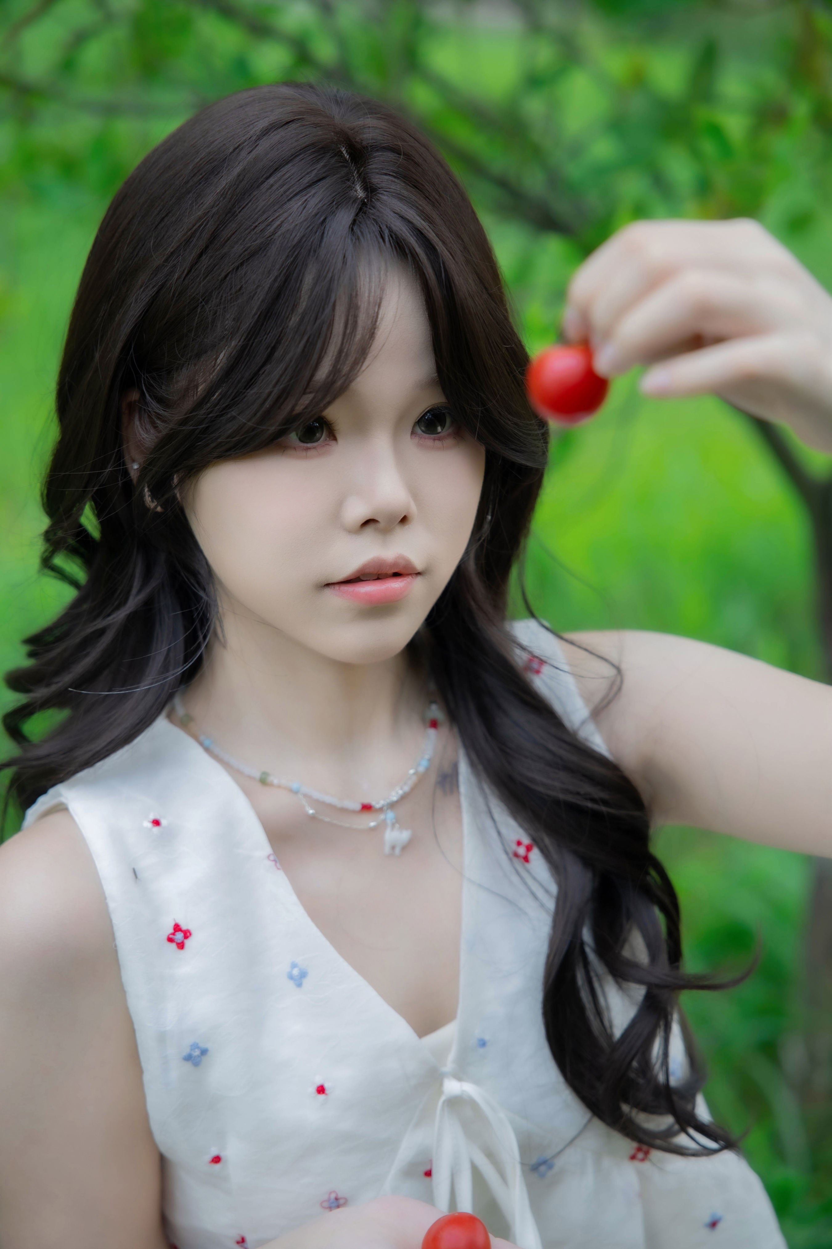 晴天里的圣女果1