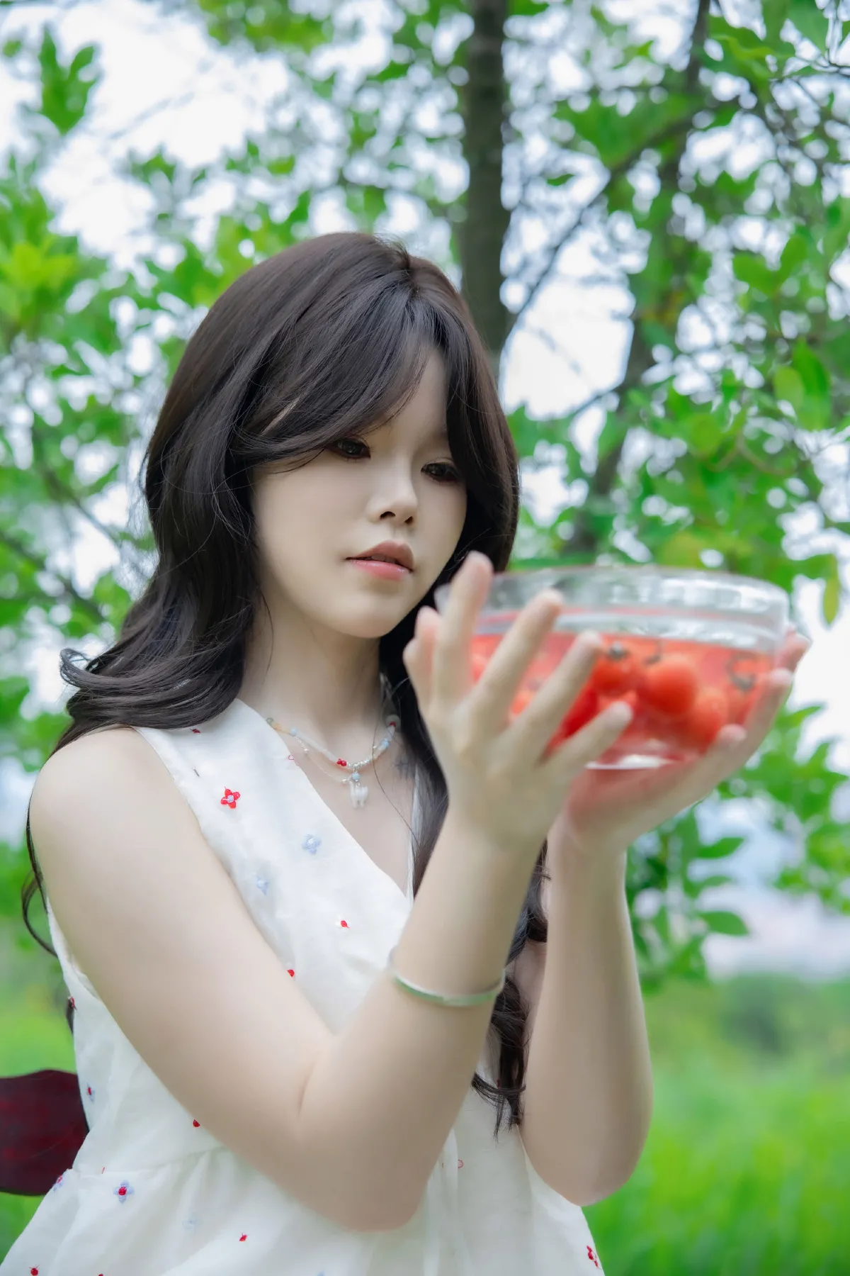 晴天里的圣女果