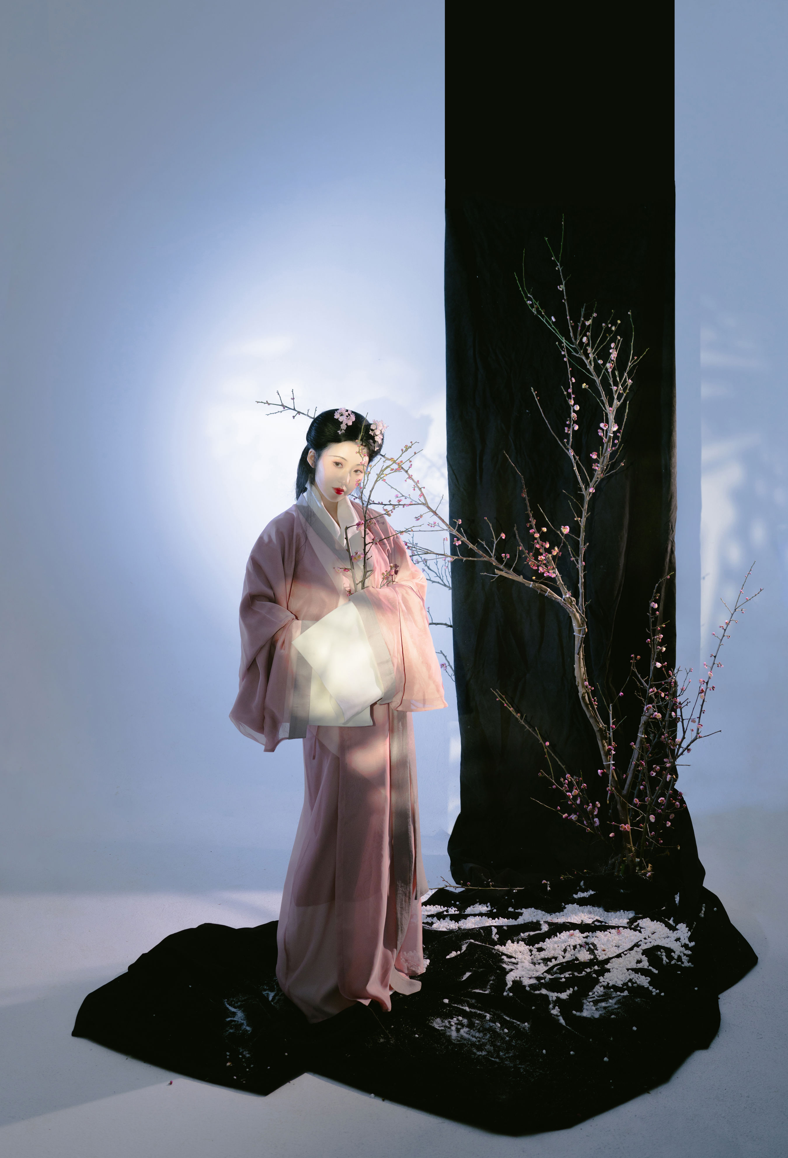 我那梅树化成的妻子1