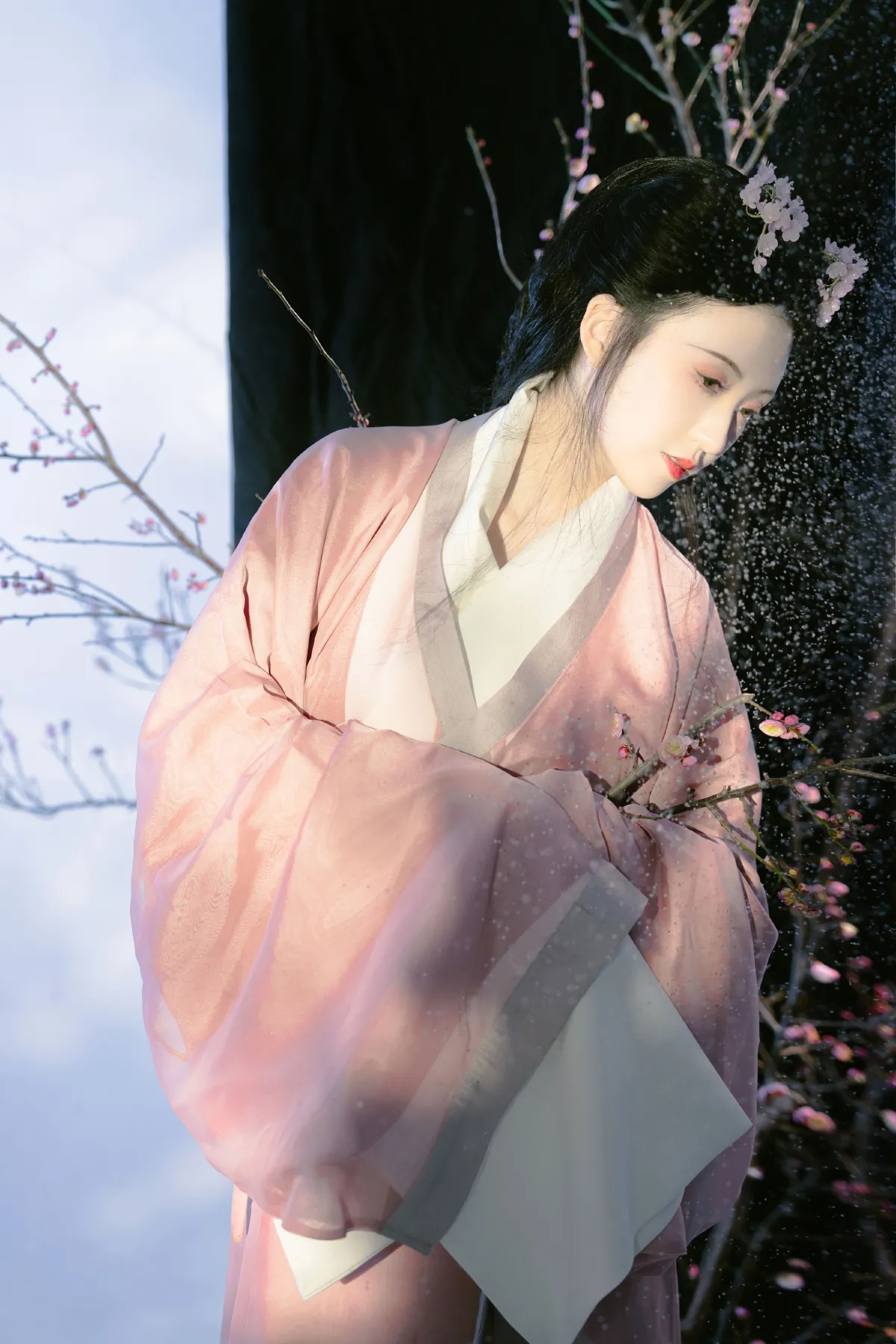 我那梅树化成的妻子5