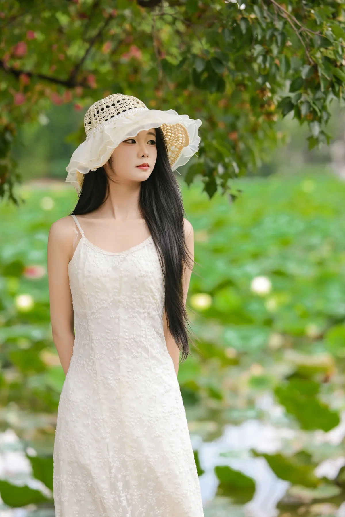 菁菁芳华