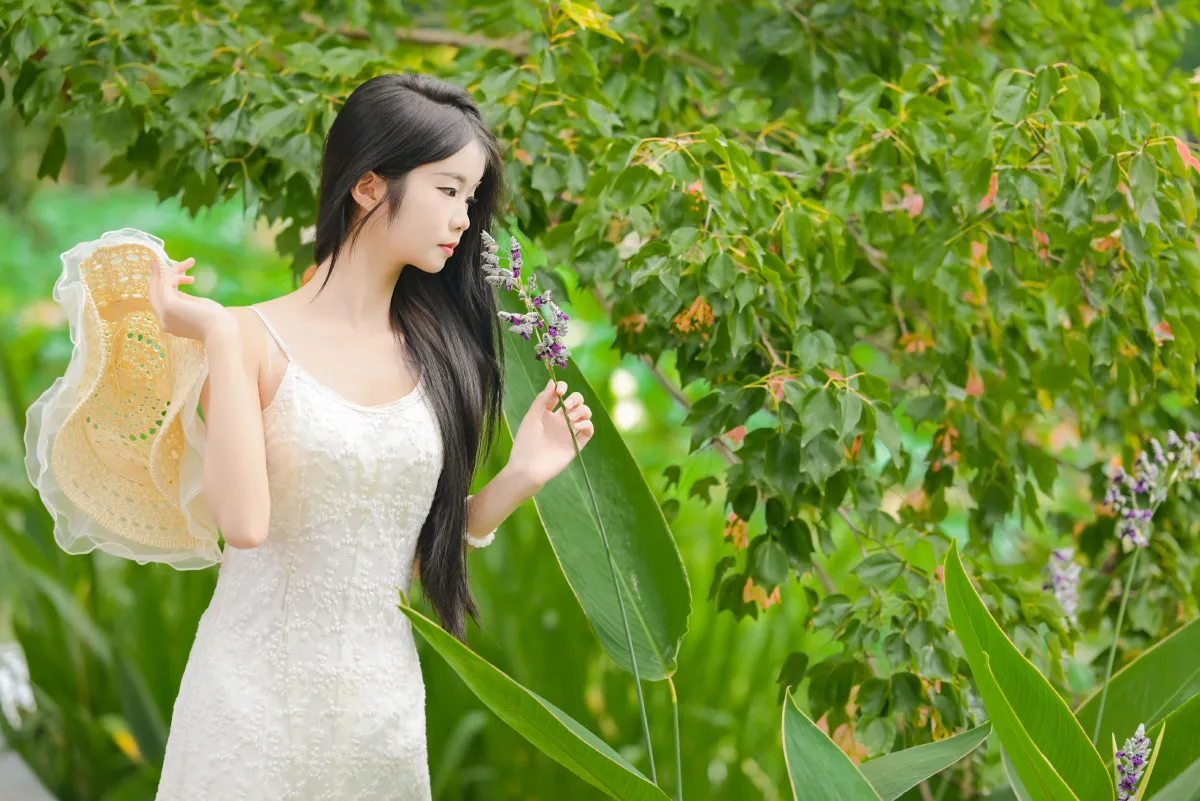 菁菁芳华