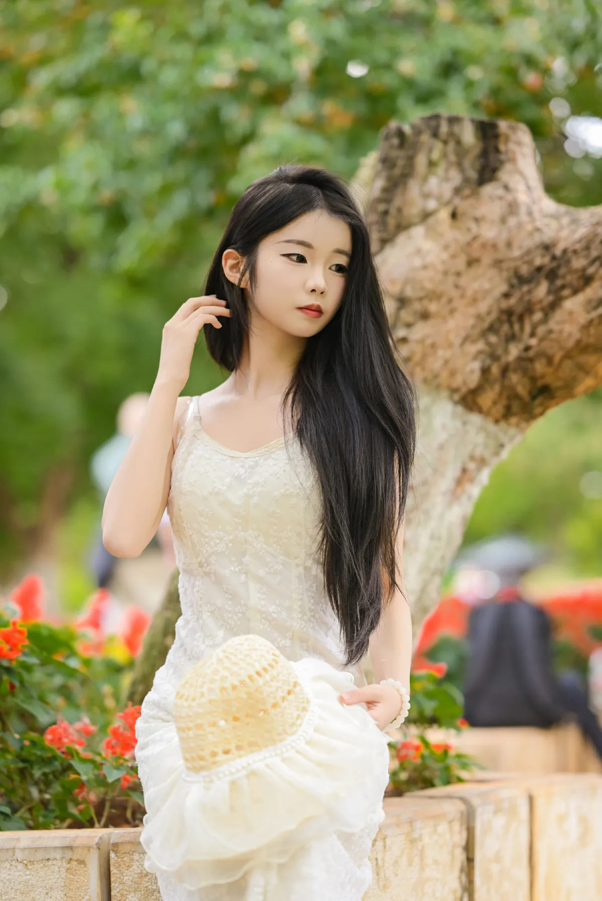 菁菁芳华