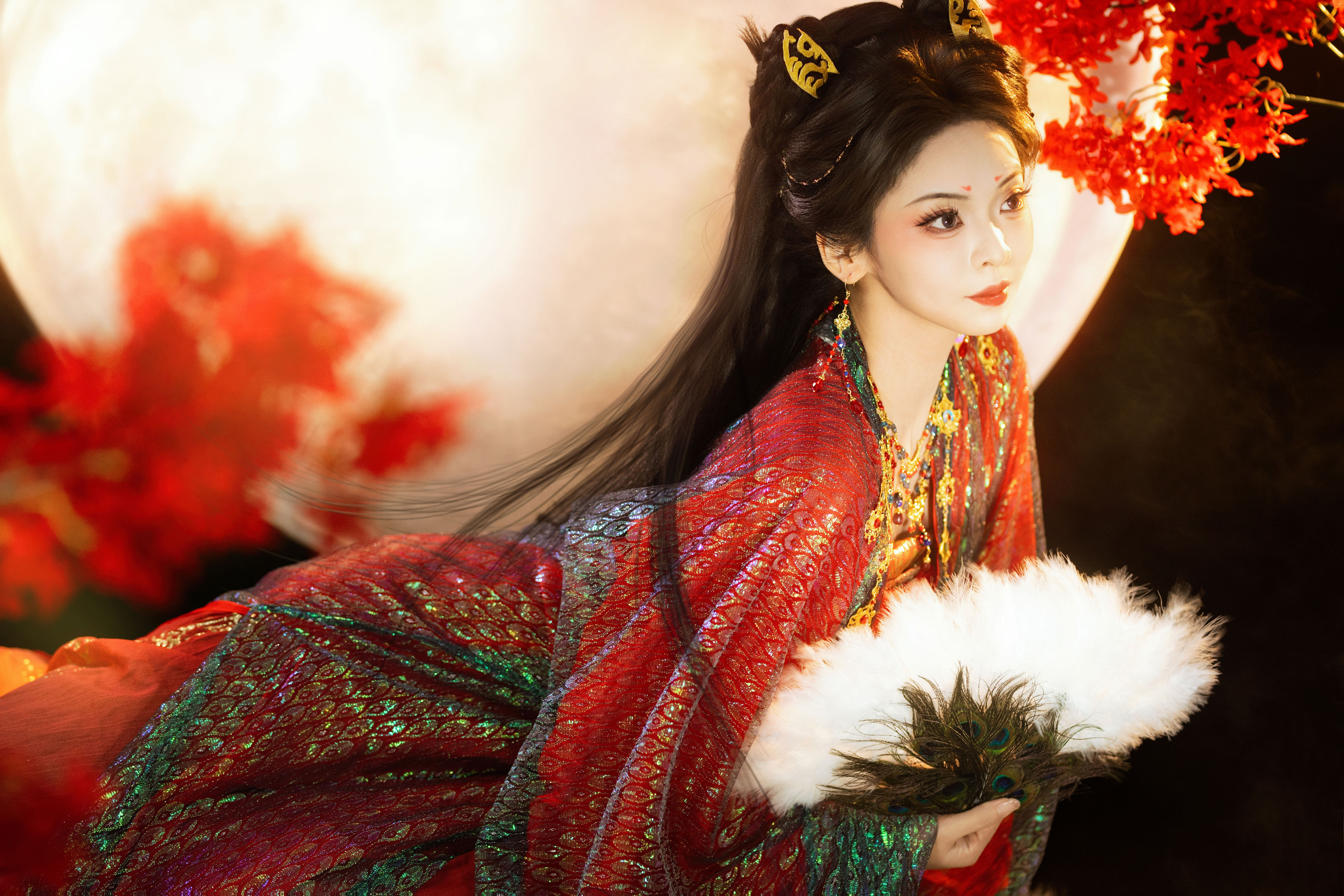 子夜归猫公