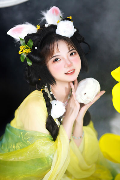 玉兔仙