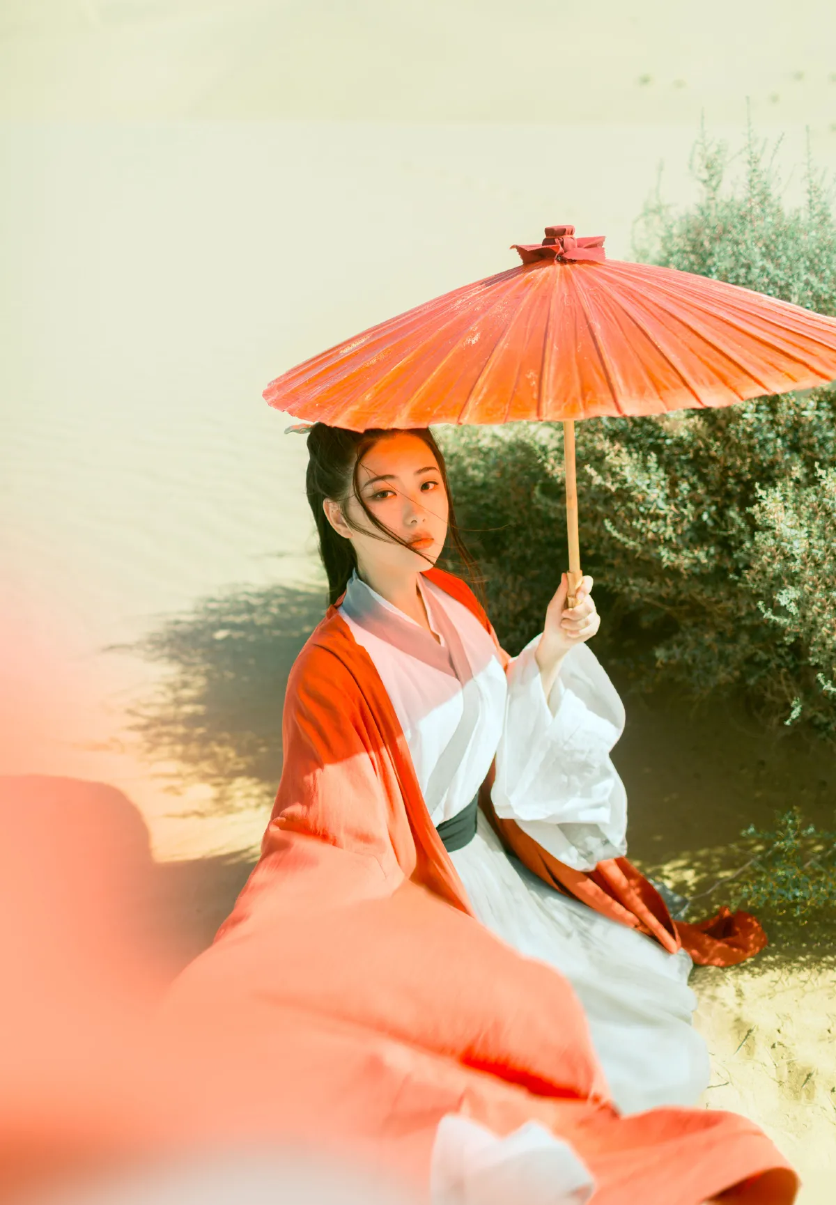 木兰花