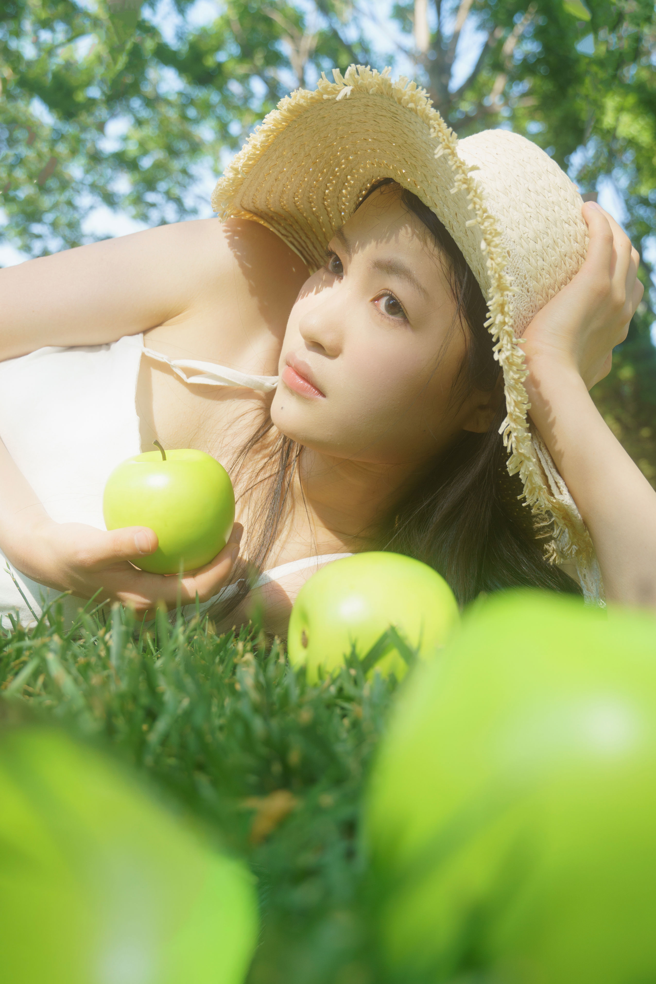 青苹果之夏