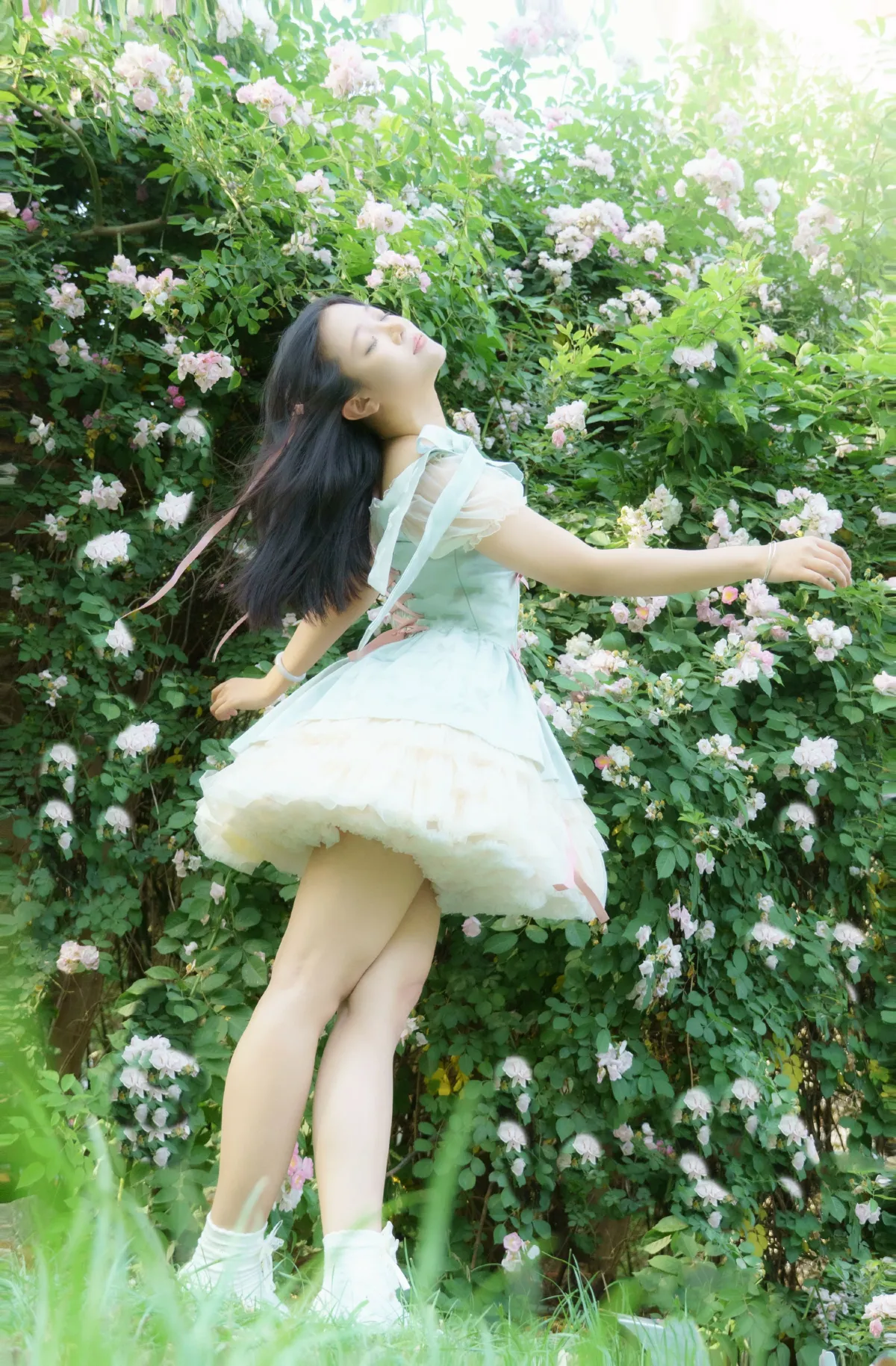 蔷薇之夏