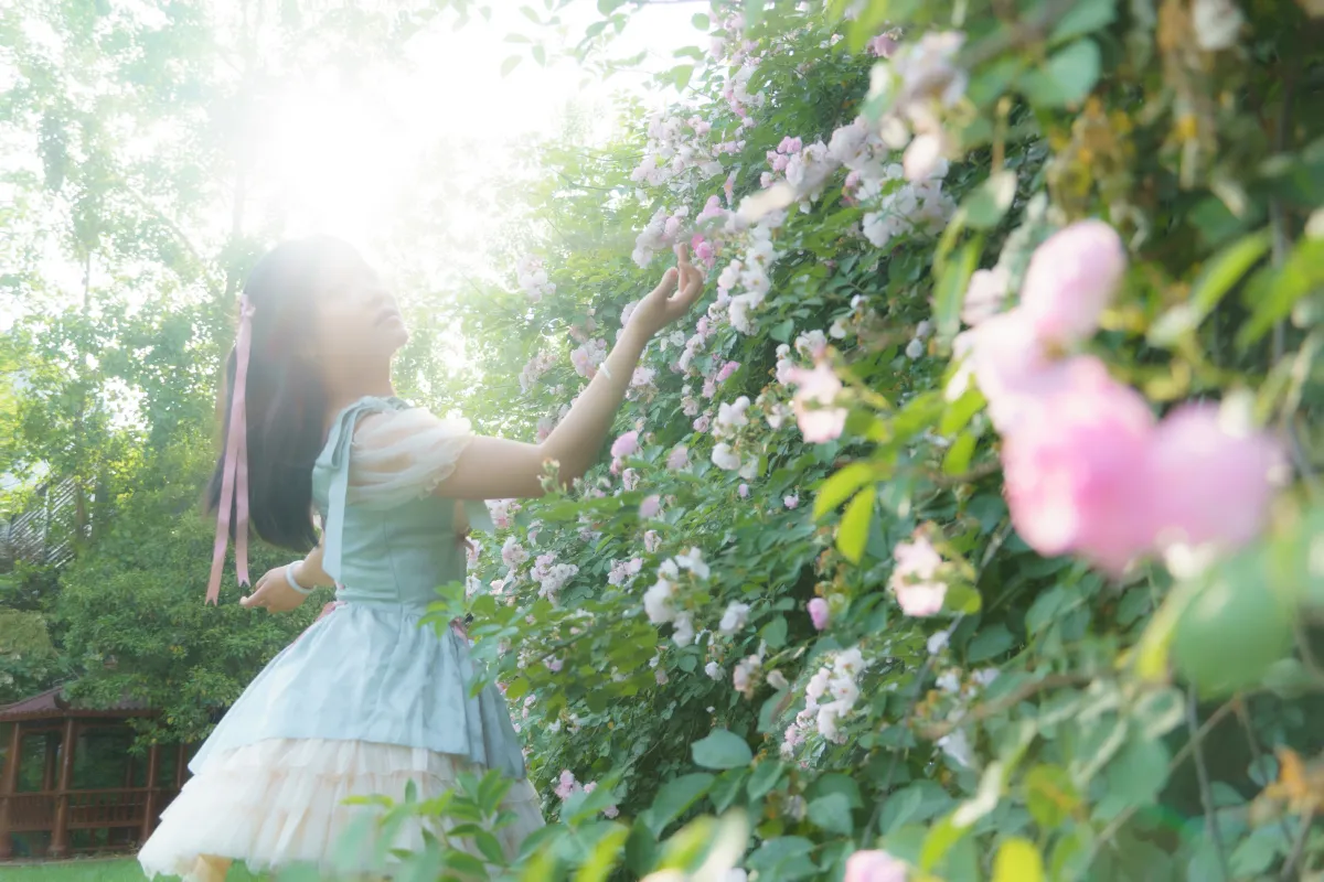 蔷薇之夏