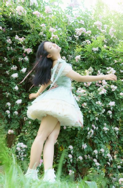 蔷薇之夏