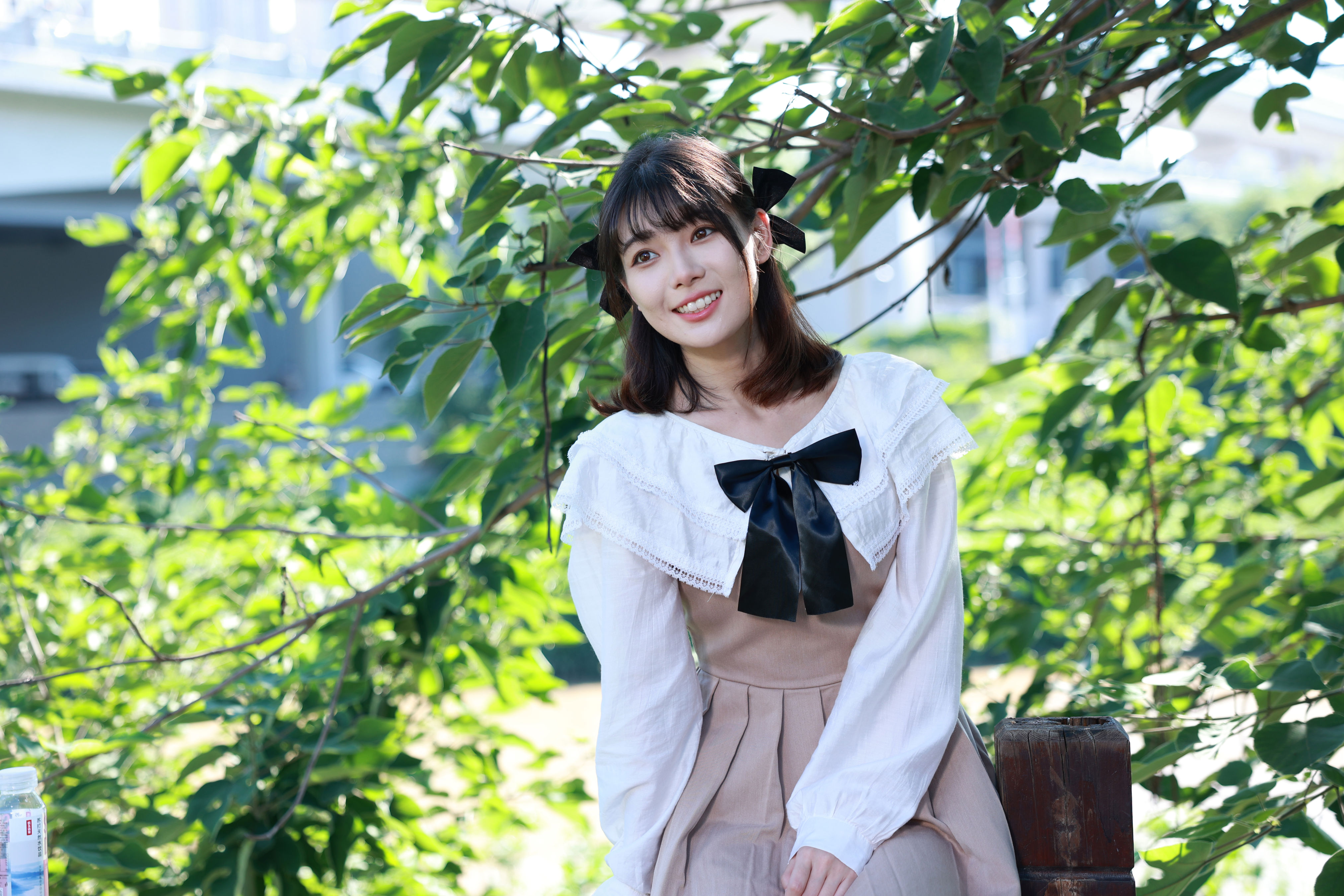 夏日小清新